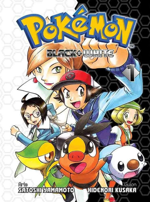 Pokémon Black & White 01